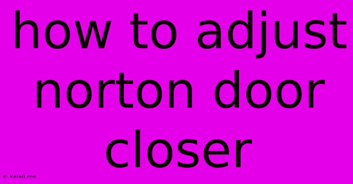 How To Adjust Norton Door Closer