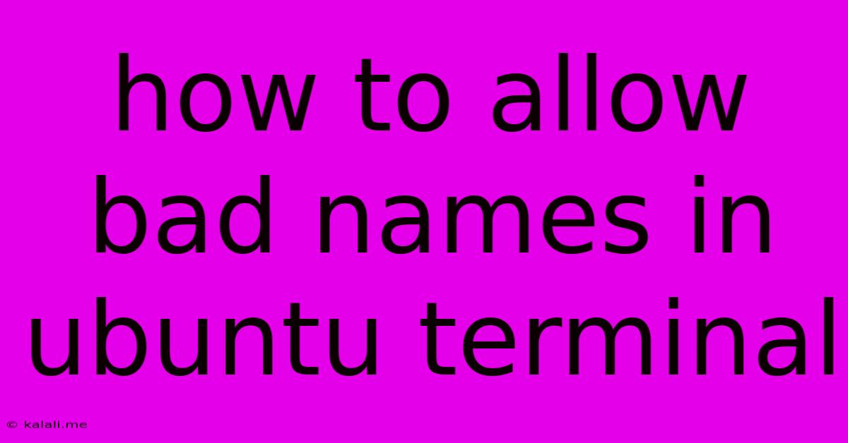 How To Allow Bad Names In Ubuntu Terminal