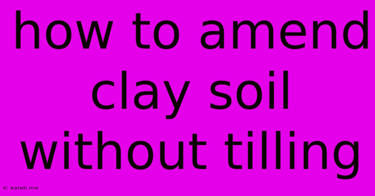 How To Amend Clay Soil Without Tilling