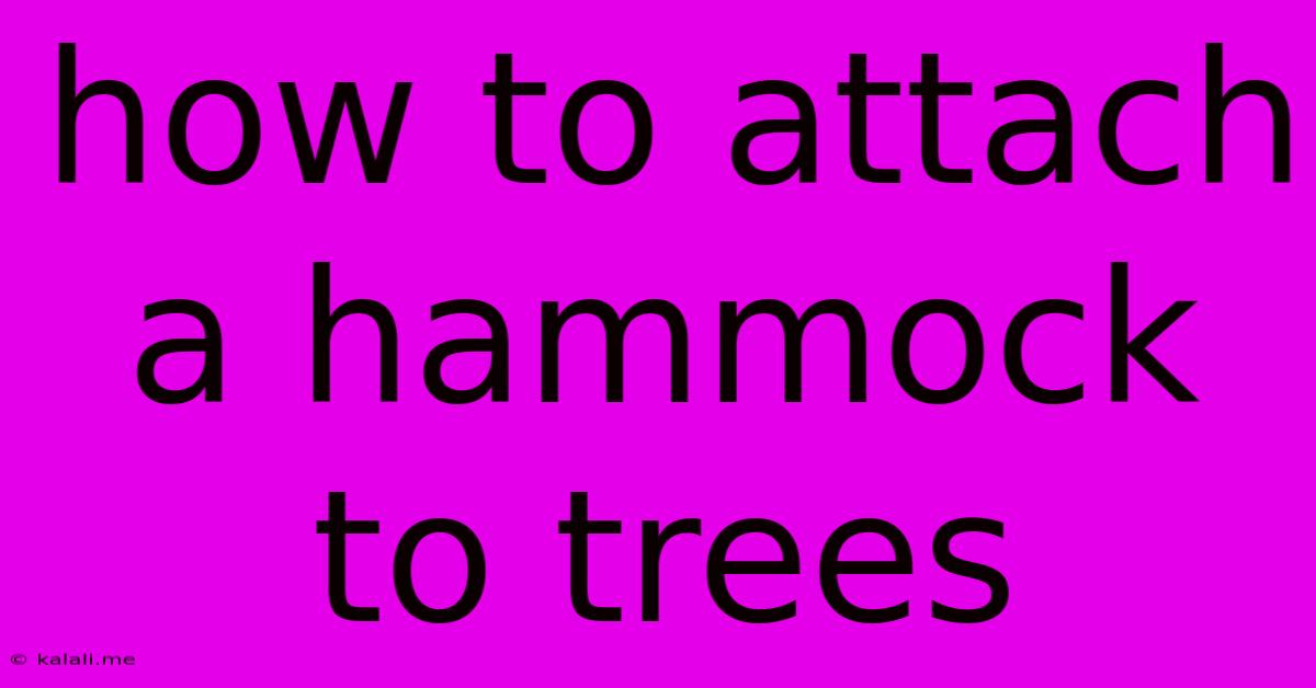 How To Attach A Hammock To Trees