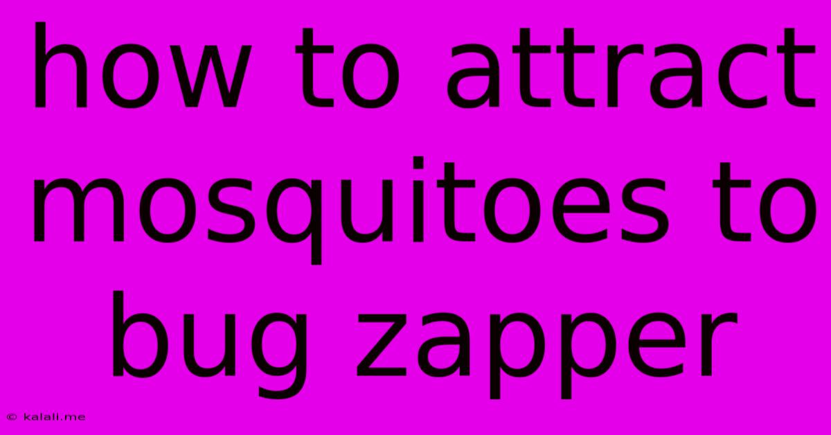 How To Attract Mosquitoes To Bug Zapper