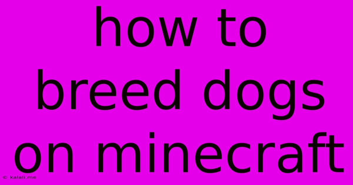 How To Breed Dogs On Minecraft