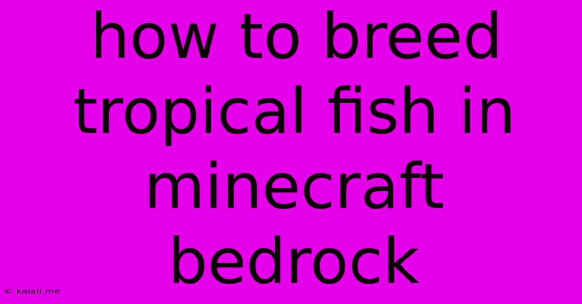 How To Breed Tropical Fish In Minecraft Bedrock