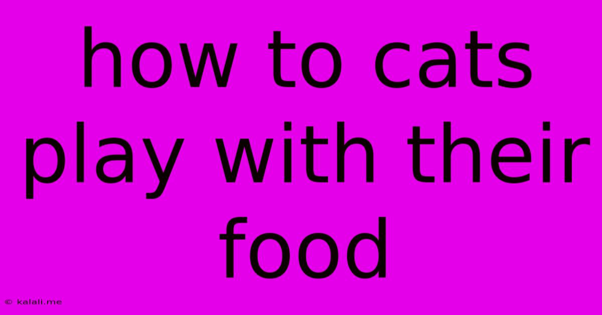 How To Cats Play With Their Food
