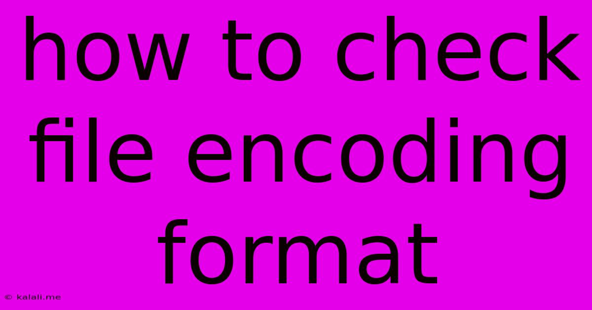 How To Check File Encoding Format
