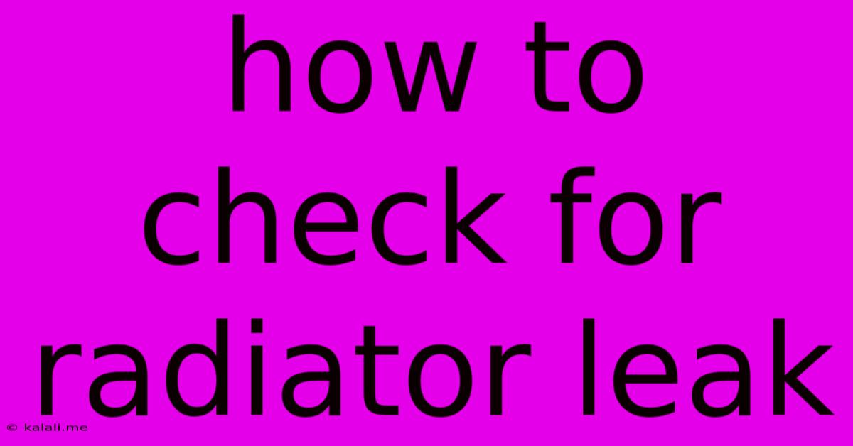 How To Check For Radiator Leak