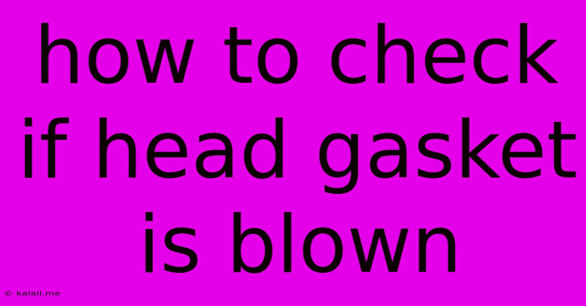 How To Check If Head Gasket Is Blown