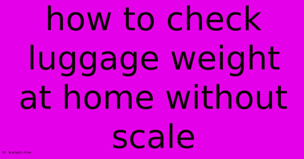 How To Check Luggage Weight At Home Without Scale
