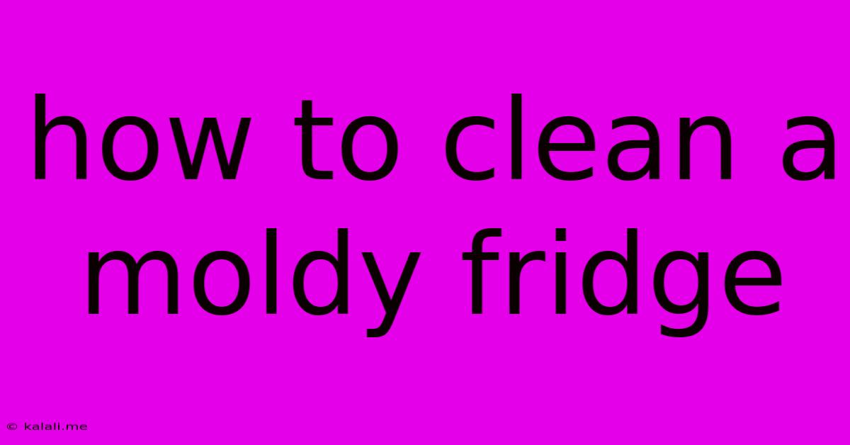 How To Clean A Moldy Fridge