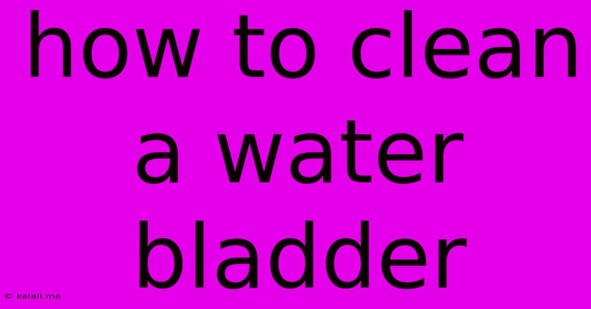 How To Clean A Water Bladder