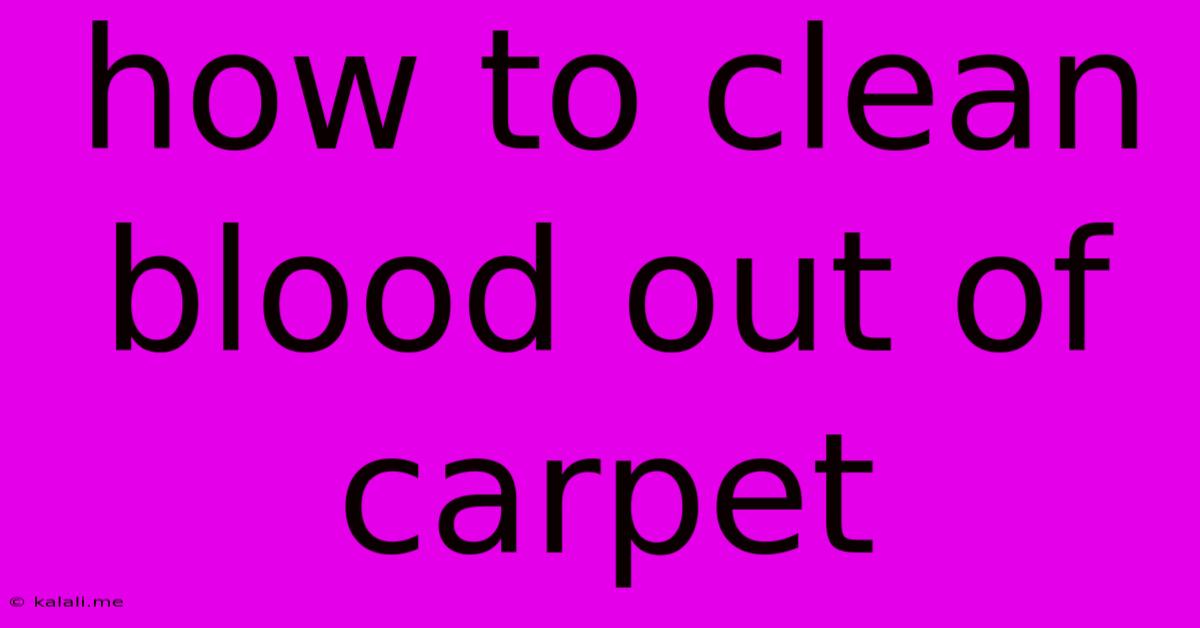 How To Clean Blood Out Of Carpet