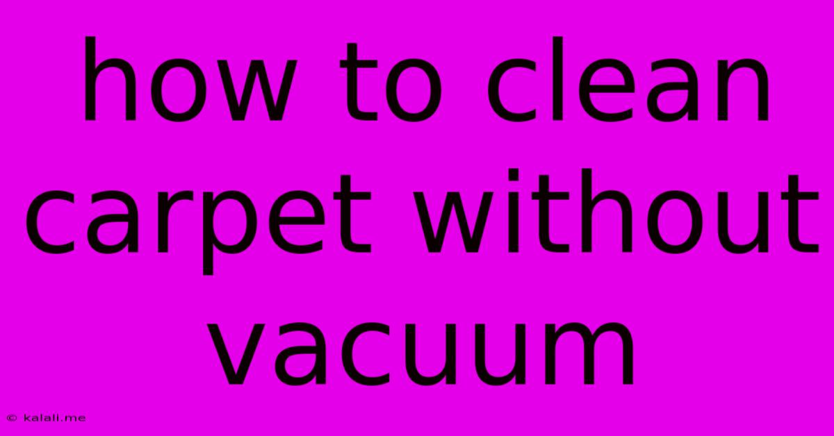How To Clean Carpet Without Vacuum