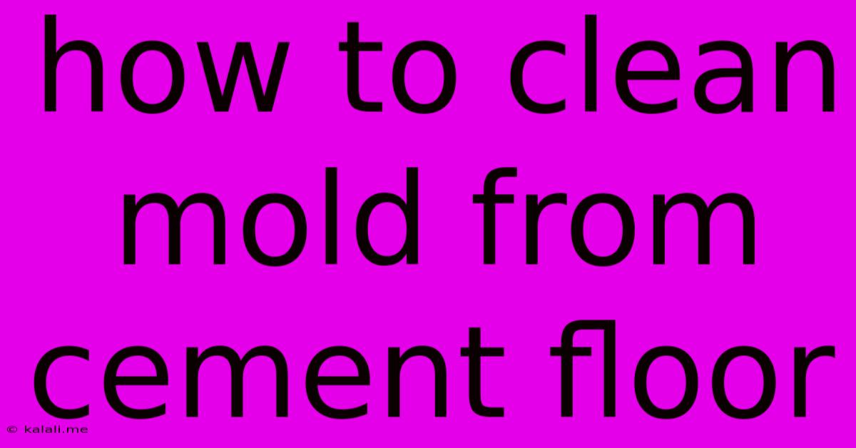 How To Clean Mold From Cement Floor