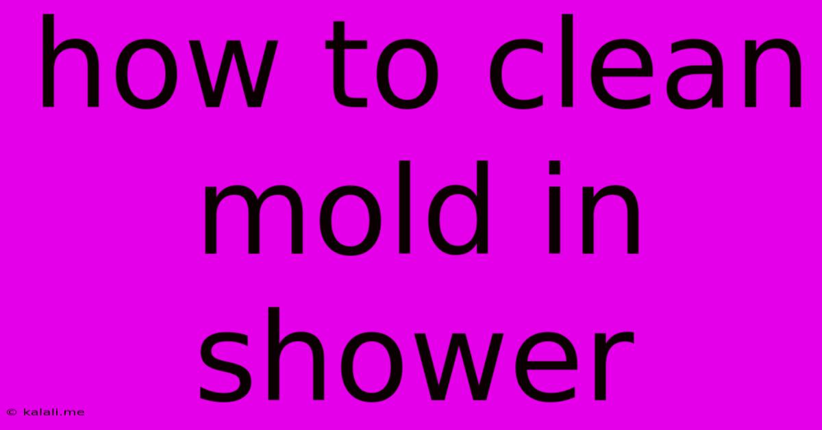 How To Clean Mold In Shower