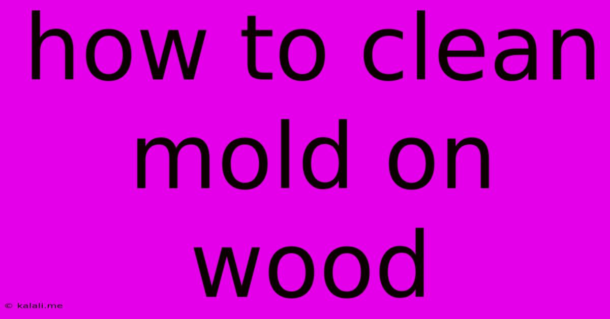 How To Clean Mold On Wood