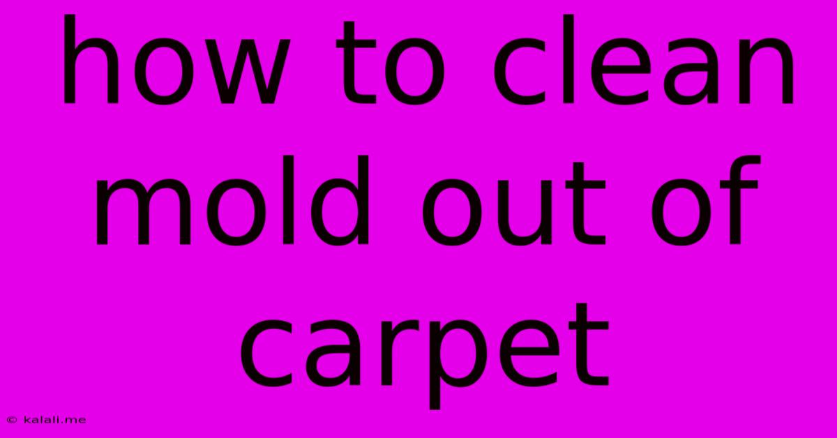 How To Clean Mold Out Of Carpet