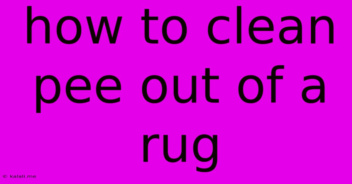How To Clean Pee Out Of A Rug