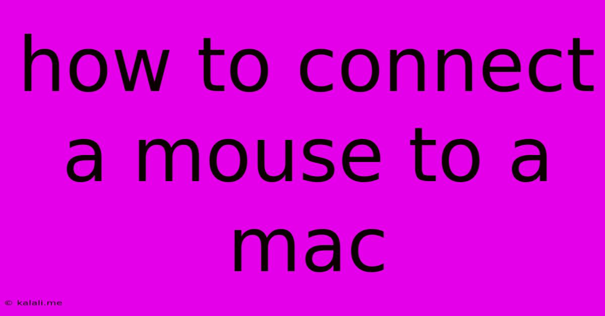 How To Connect A Mouse To A Mac