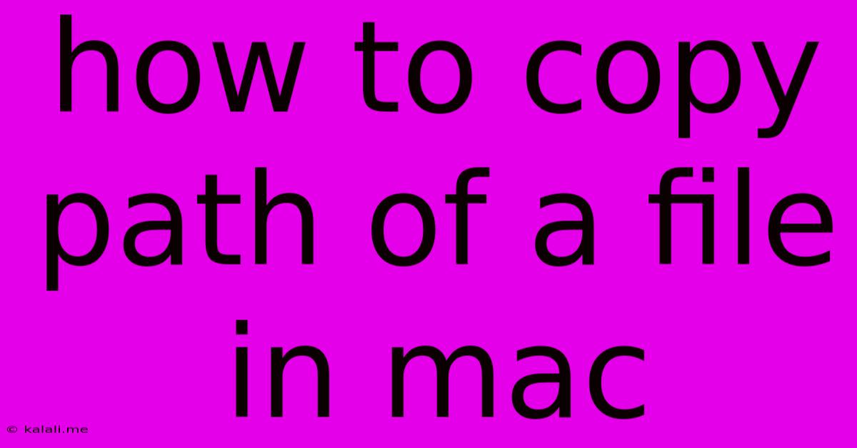 How To Copy Path Of A File In Mac
