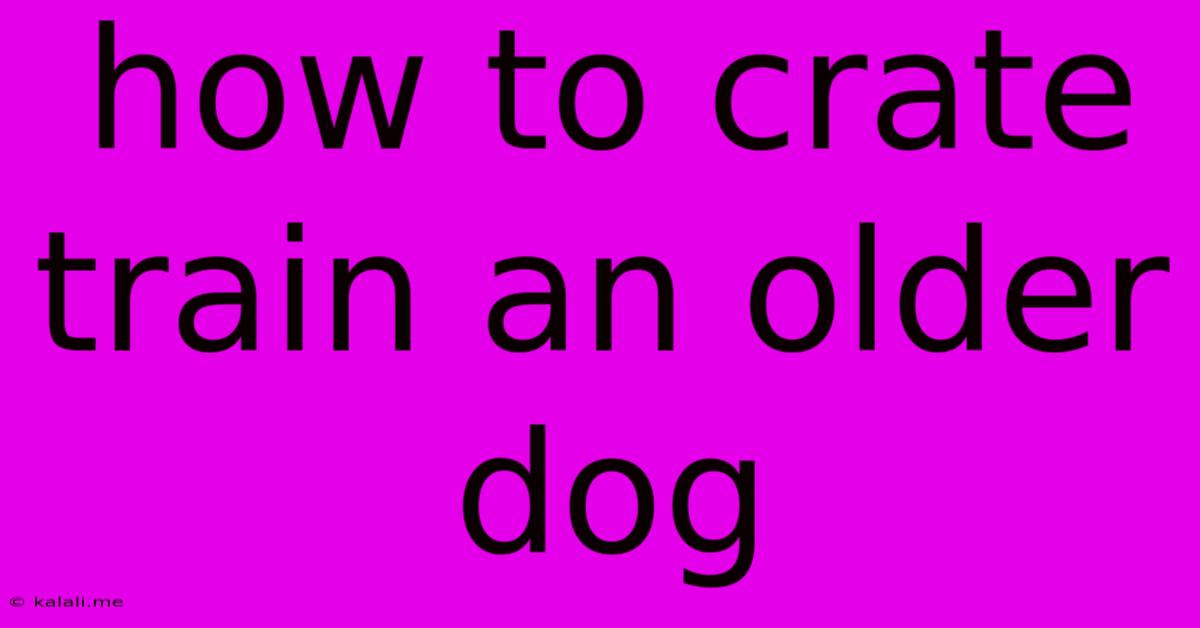 How To Crate Train An Older Dog