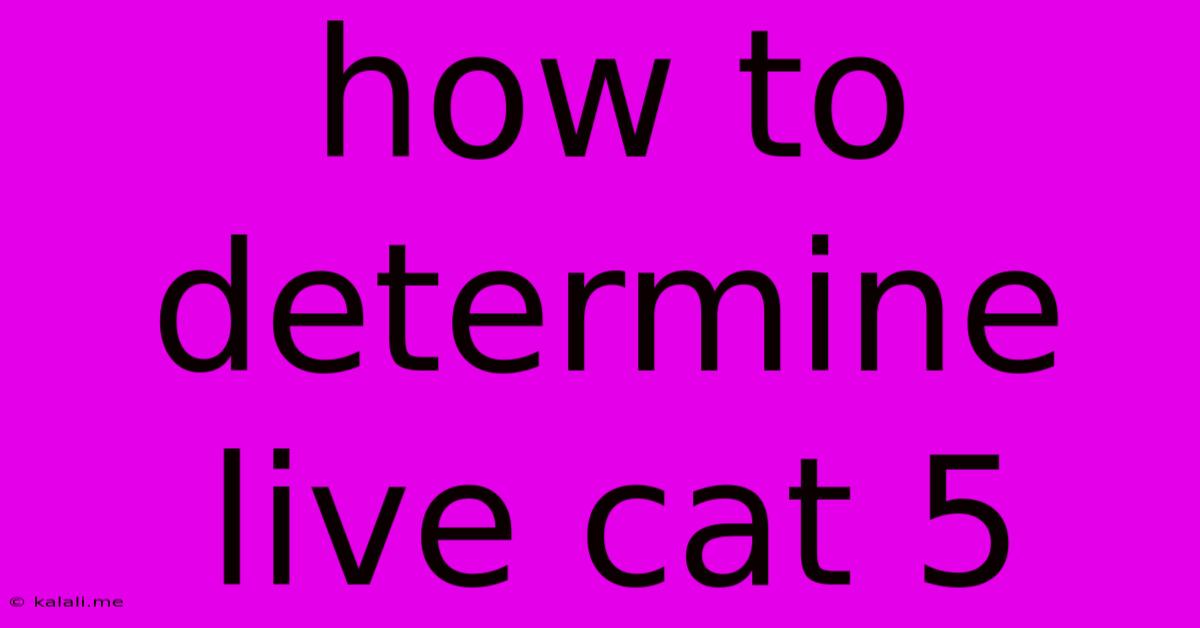 How To Determine Live Cat 5