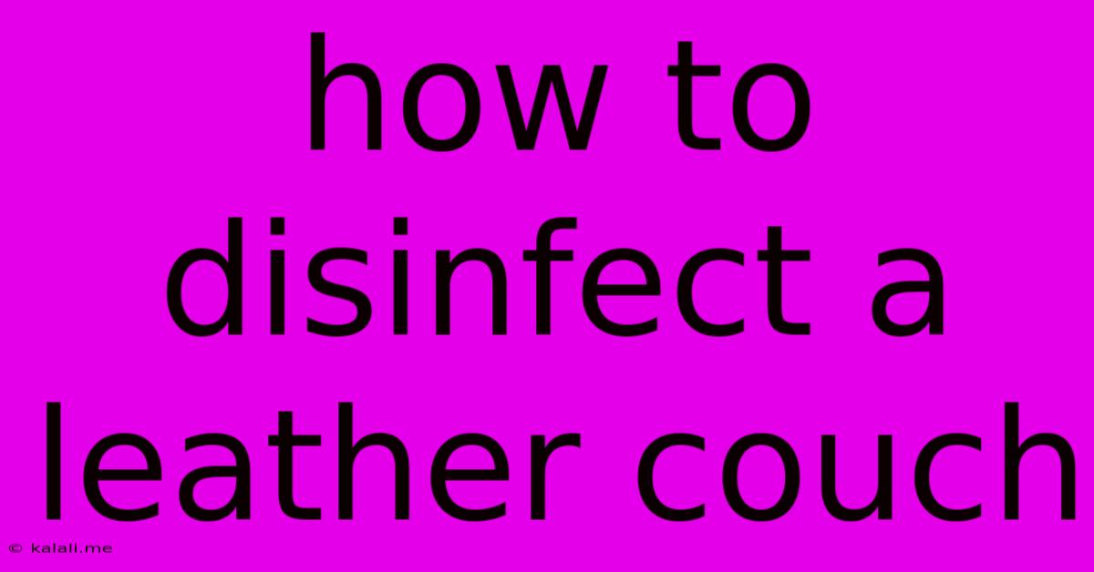 How To Disinfect A Leather Couch
