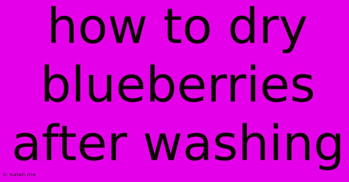 How To Dry Blueberries After Washing