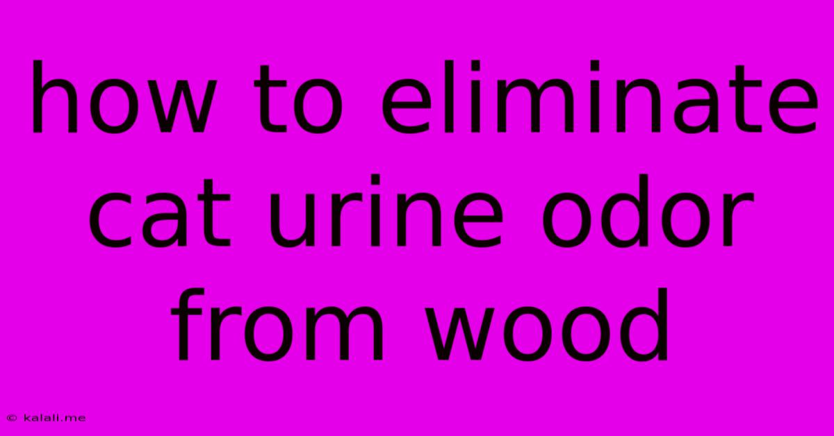 How To Eliminate Cat Urine Odor From Wood
