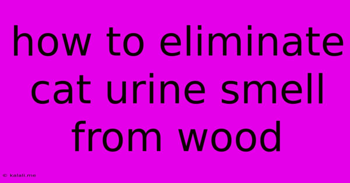 How To Eliminate Cat Urine Smell From Wood