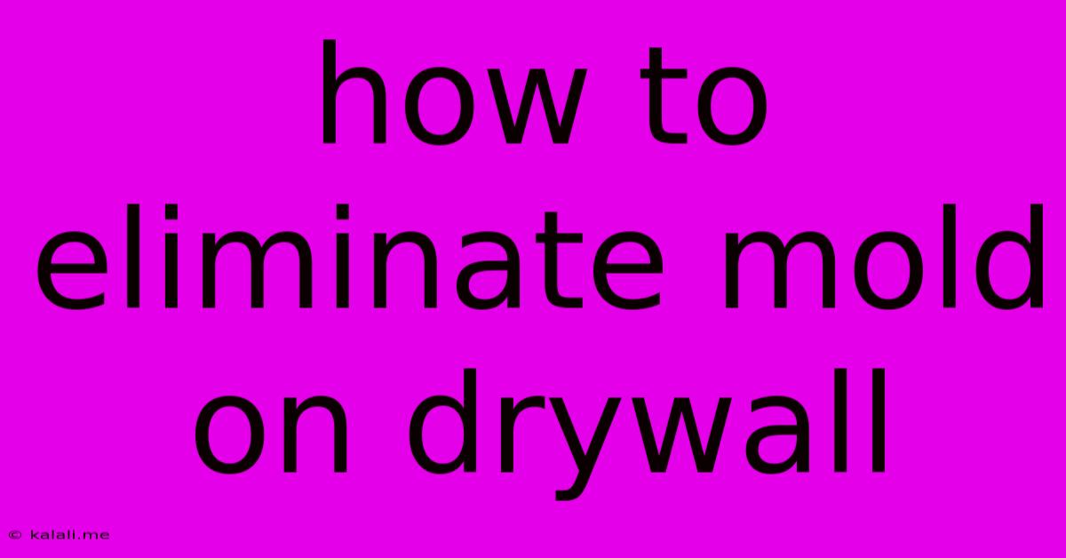 How To Eliminate Mold On Drywall