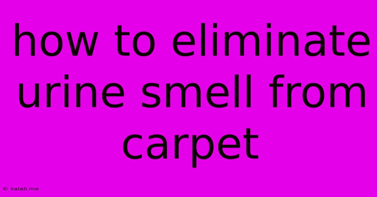 How To Eliminate Urine Smell From Carpet
