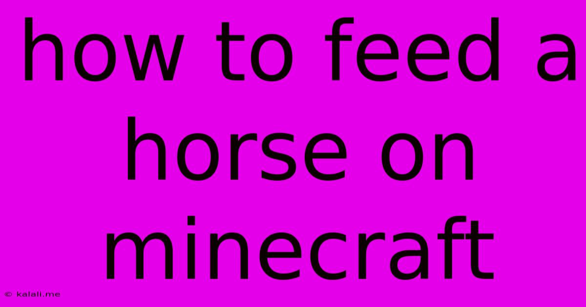 How To Feed A Horse On Minecraft