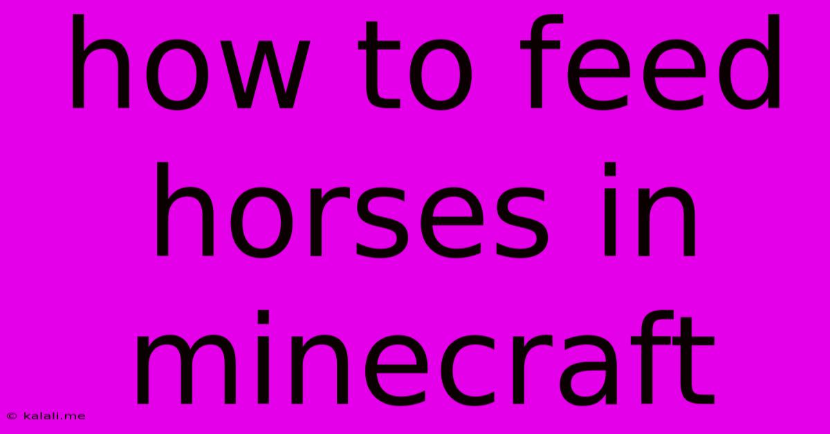 How To Feed Horses In Minecraft