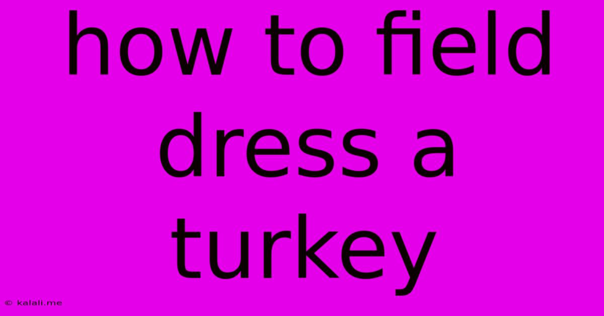How To Field Dress A Turkey