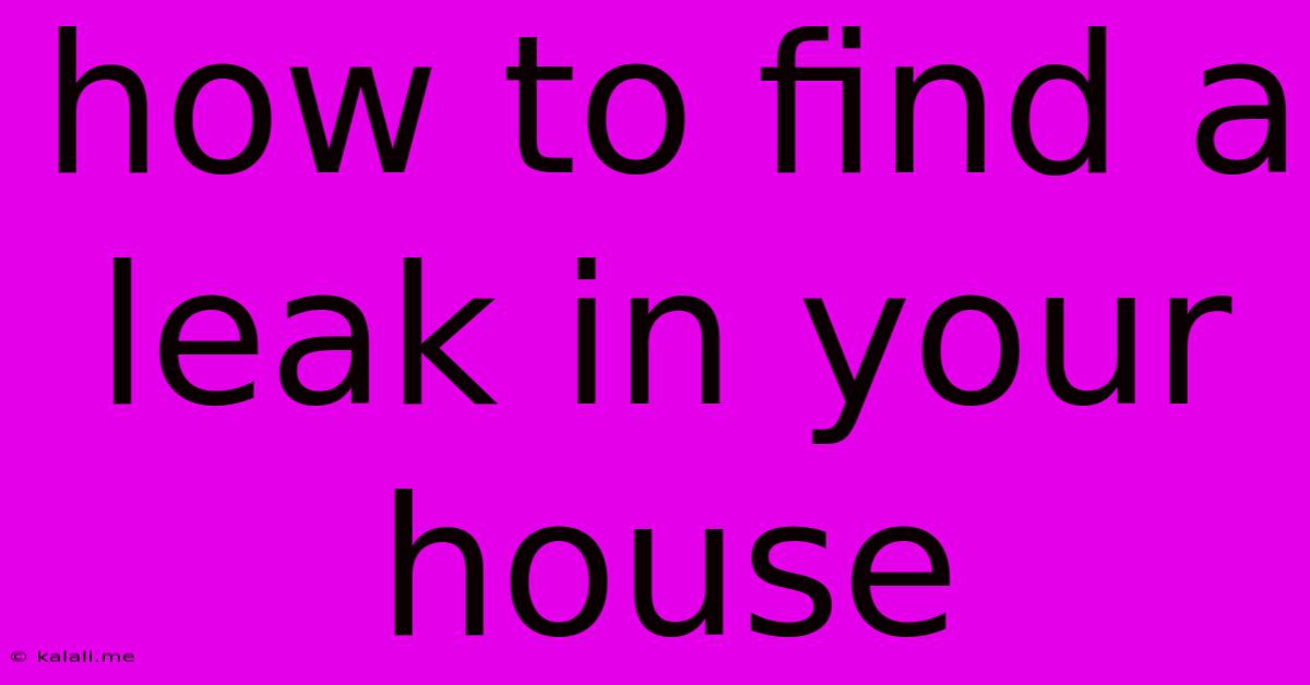 How To Find A Leak In Your House