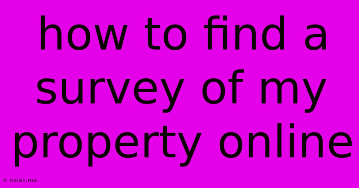 How To Find A Survey Of My Property Online