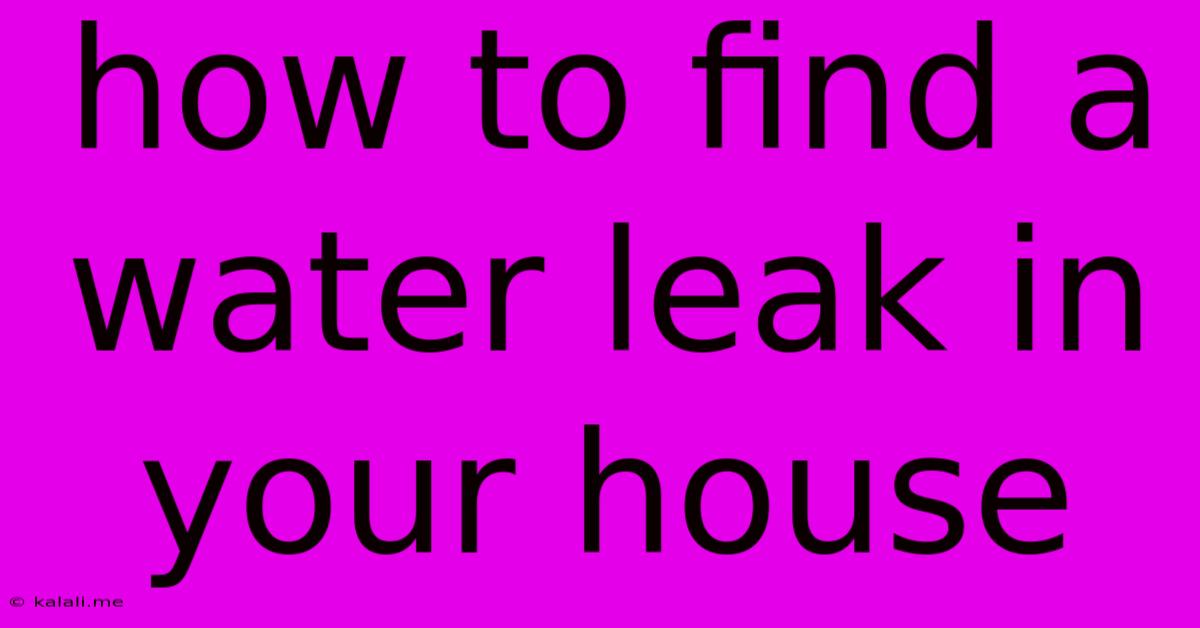 How To Find A Water Leak In Your House