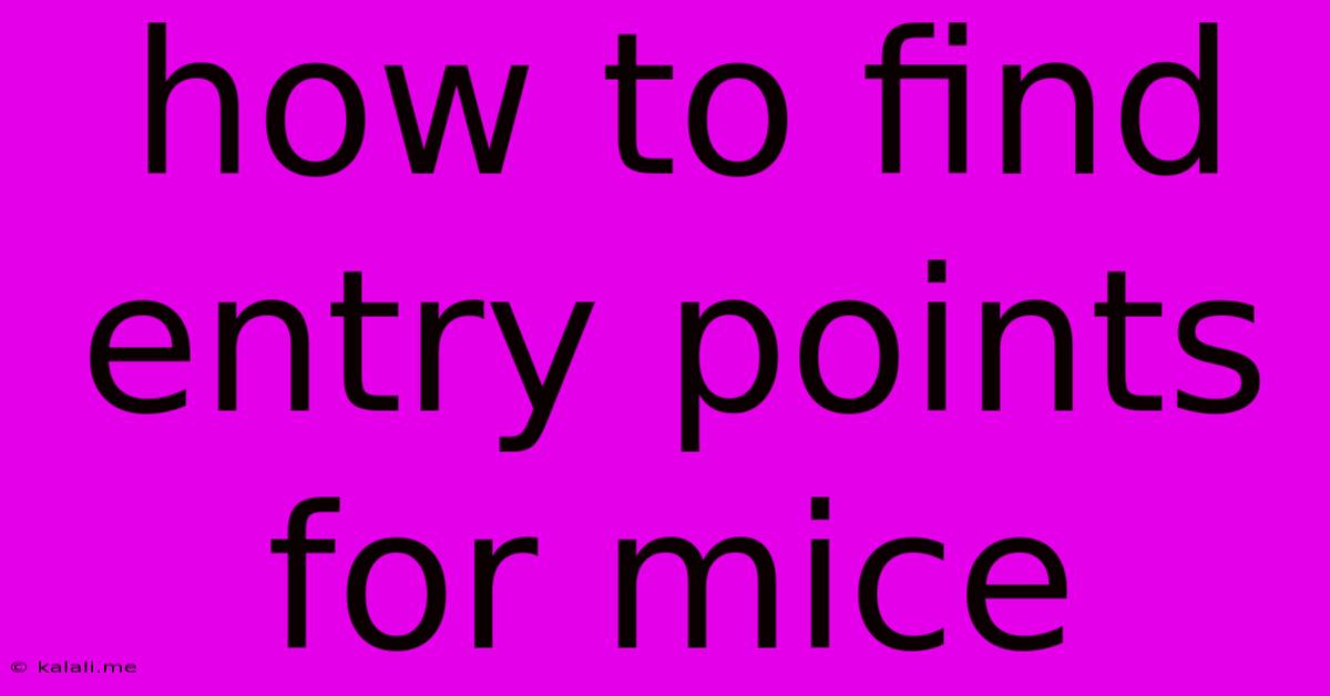 How To Find Entry Points For Mice
