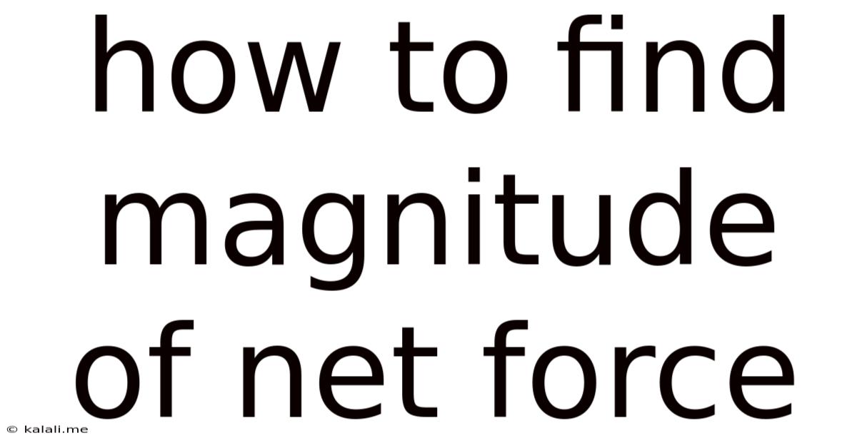 How To Find Magnitude Of Net Force