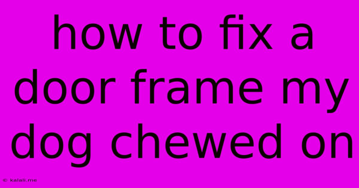 How To Fix A Door Frame My Dog Chewed On