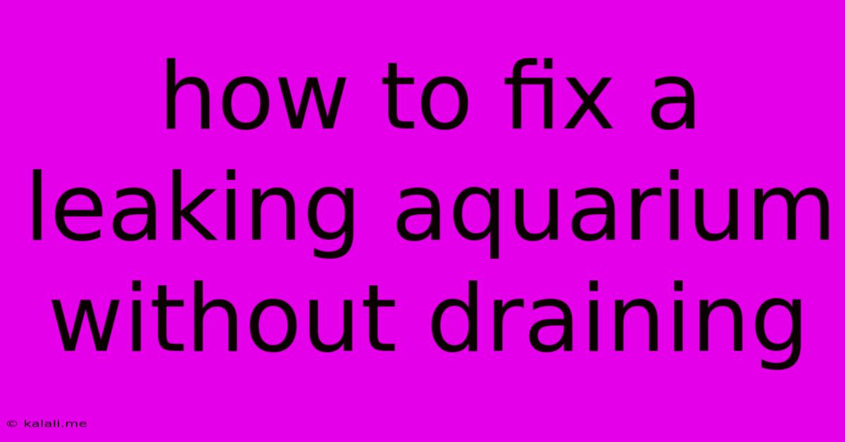 How To Fix A Leaking Aquarium Without Draining