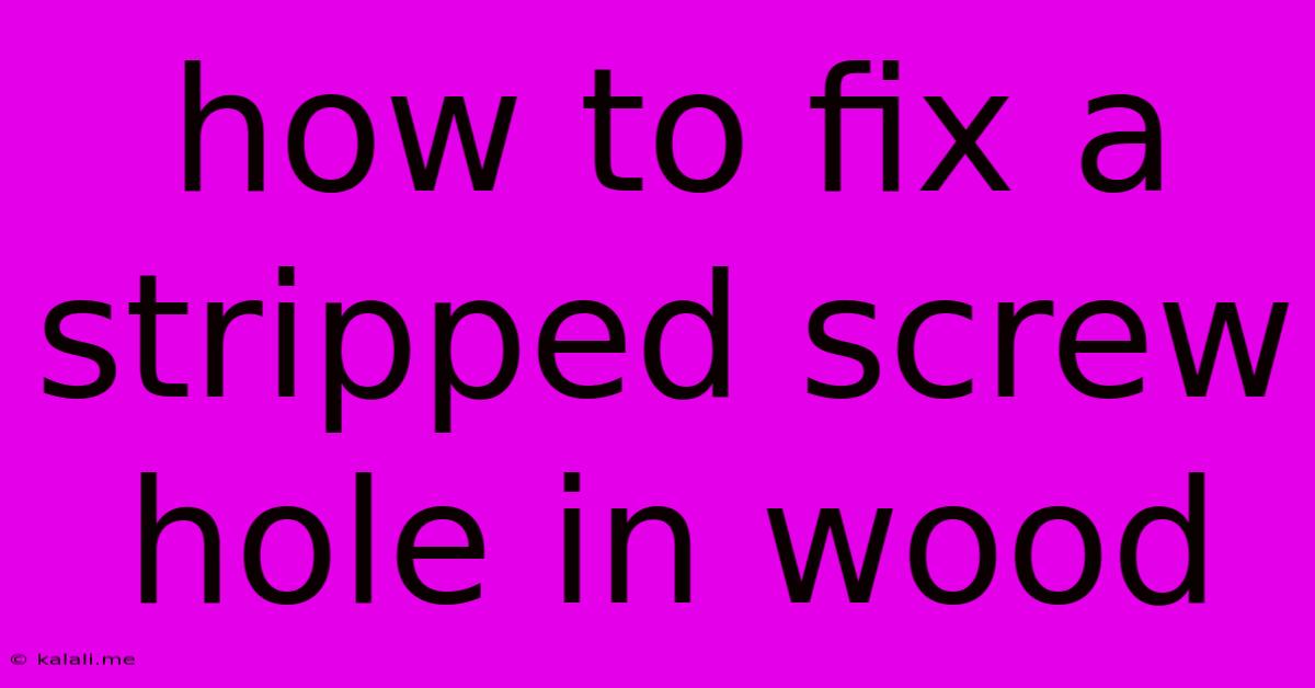 How To Fix A Stripped Screw Hole In Wood