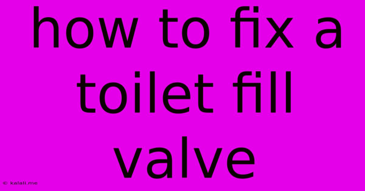 How To Fix A Toilet Fill Valve