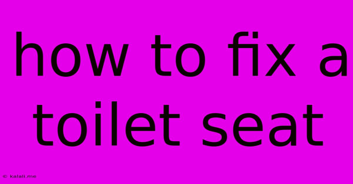 How To Fix A Toilet Seat