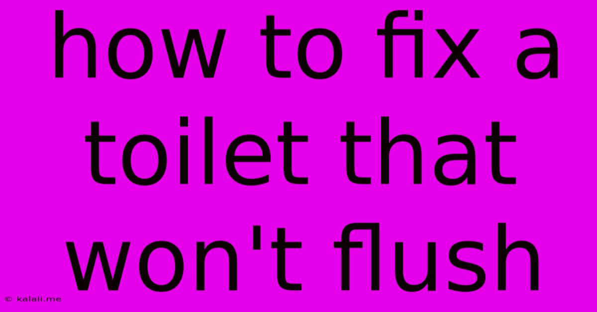 How To Fix A Toilet That Won't Flush