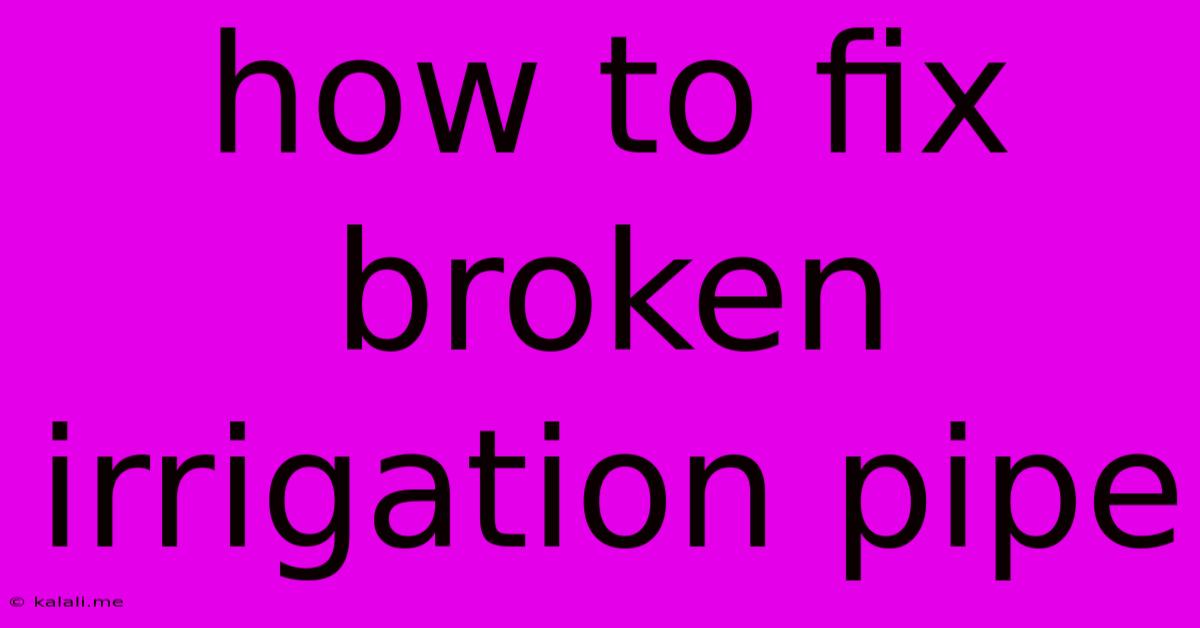 How To Fix Broken Irrigation Pipe