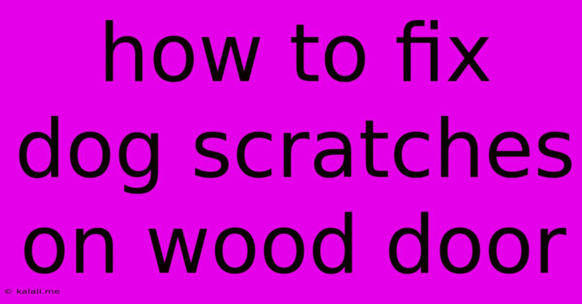How To Fix Dog Scratches On Wood Door