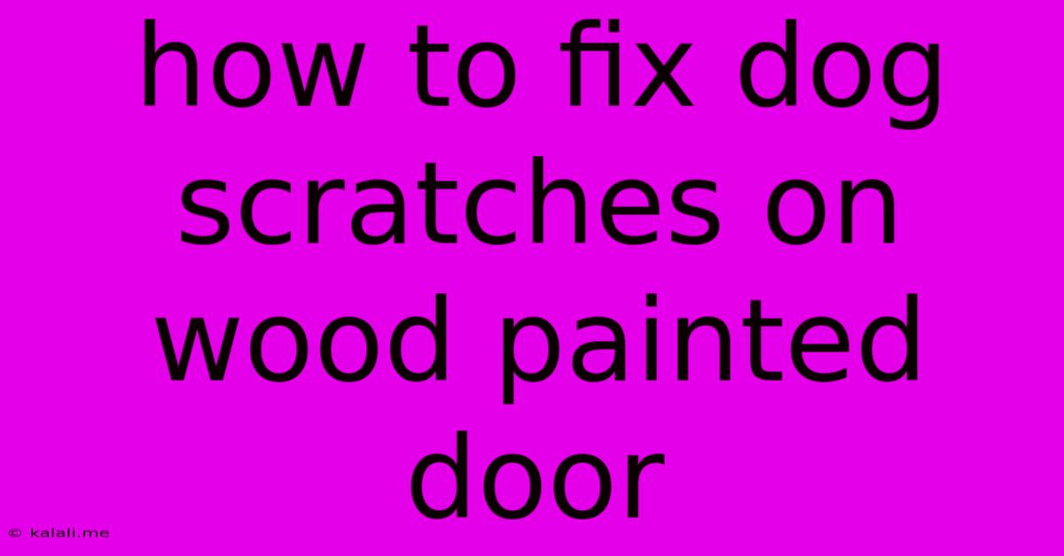How To Fix Dog Scratches On Wood Painted Door