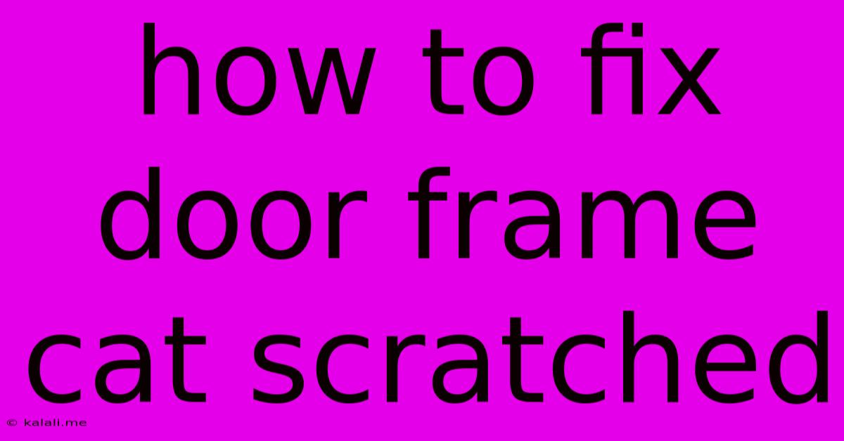 How To Fix Door Frame Cat Scratched