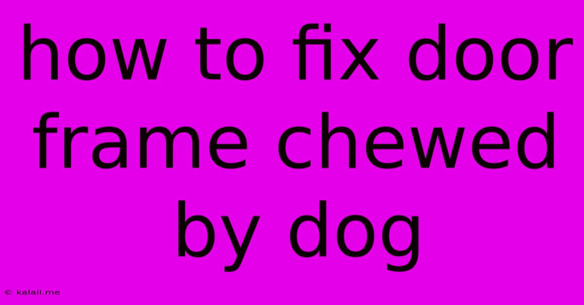 How To Fix Door Frame Chewed By Dog